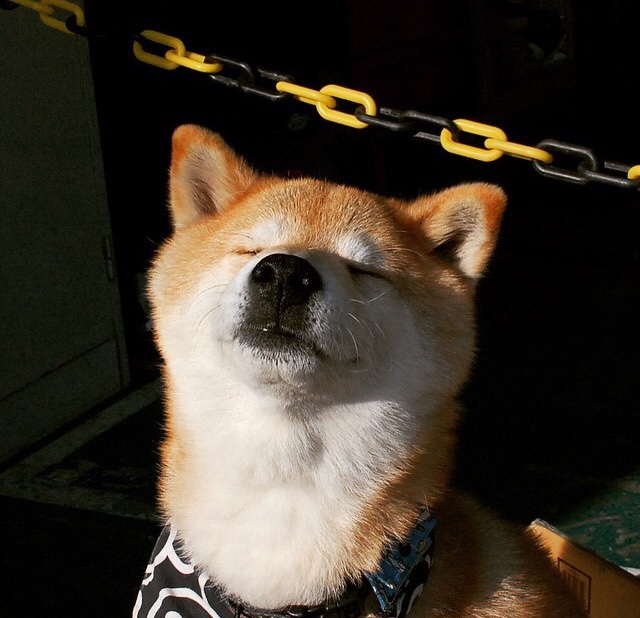 爱游戏平台-《线上英雄会：全球玩家同步竞技》，线上英雄什么意思