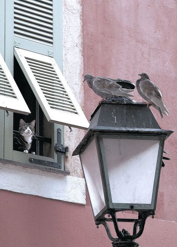 爱游戏体育入口-【攻守平衡】奥沙利文的比赛哲学：不断创新的战术布局，奥沙利文top gear